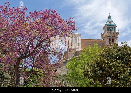 Former Carthusian monastery in Valldemossa, Majorca, Spain Stock Photo