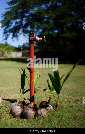 MERIDA, YUC/MEXICO - NOV 13, 2017: A leaking water valve Stock Photo