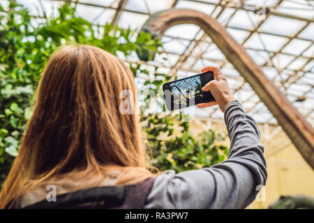 Beijing China, October 16, 2018: woman use mobile phone and blurred image of people in the dinosaur exhibition Stock Photo