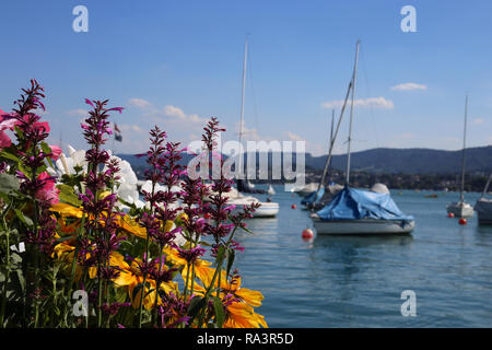 View to lake Zürich. There is some gorgeous colorful flowers blooming and behind them you can see turquoise lake, some mountains and the blue sky. Stock Photo