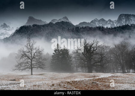 winter forest and mountain landscape in bad weather with fog and rime on the ground Stock Photo