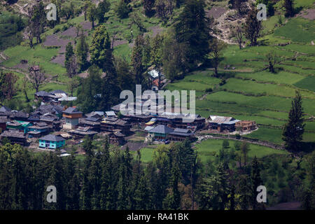 Grahan Village near Kasol in Himachal Pradesh, Indian Himalaya surrounded by green farms. Stock Photo