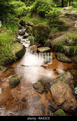 River at the foot of the Brocken near Schierke in Germany Stock Photo