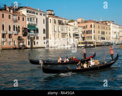 Gondolas on the Grand Canal, Venice, Veneto, Italy Stock Photo