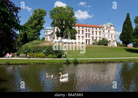 Celle Castle and pond, Celle, Lower Saxony, Germany Stock Photo