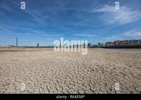 Rhine near Düsseldorf, extreme low water, Rhine level at 84 cm, after the long drought the left bank of the Rhine, near Stock Photo