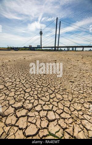 Rhine near Düsseldorf, extreme low water, Rhine level at 84 cm, after the long drought the left bank of the Rhine, near Stock Photo