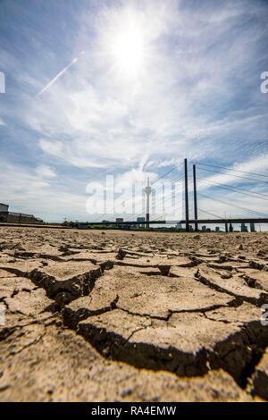 Rhine near Düsseldorf, extreme low water, Rhine level at 84 cm, after the long drought the left bank of the Rhine, near Stock Photo