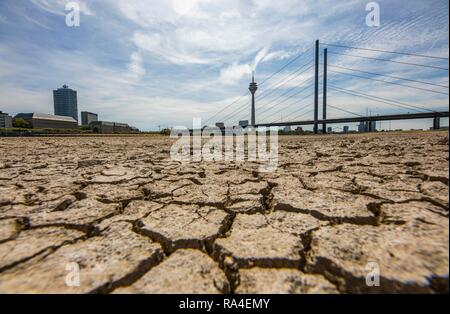 Rhine near Düsseldorf, extreme low water, Rhine level at 84 cm, after the long drought the left bank of the Rhine, near Stock Photo