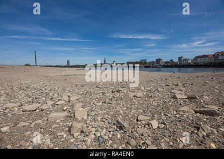 Rhine near Düsseldorf, extreme low water, Rhine level at 84 cm, after the long drought the left bank of the Rhine, near Stock Photo