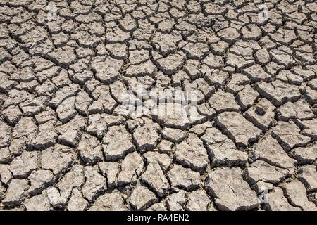 Rhine near Düsseldorf, extreme low water, Rhine level at 84 cm, after the long drought the left bank of the Rhine, near Stock Photo