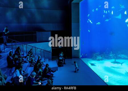 Grupa ludzi zwiadajacych obserwuje duze akwarium oceaniczne z wieloma gatunkami ryb w oceanarium zoologicznym Group of spectators admiring a large scale sealife oceanarium with many species of underwa Stock Photo