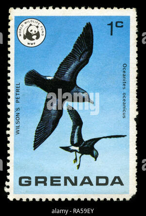 Postage stamp from Grenada in the Wild Birds of Grenada series issued in 1978 Stock Photo