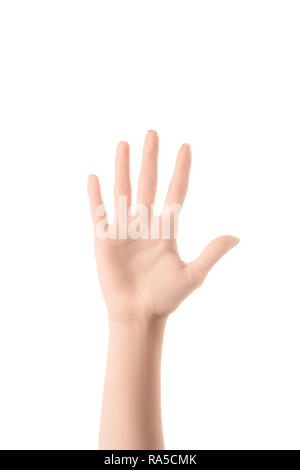 partial view of woman showing number 5 in sign language isolated on white Stock Photo