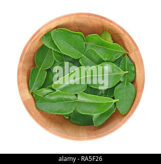 Top view of Bergamot leaf isolated on the white background. Stock Photo