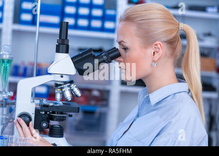 Girl with a slide for the microscope University Hospital. Attractive young scientist  looking at the microscope slide in the forensic laboratory Stock Photo