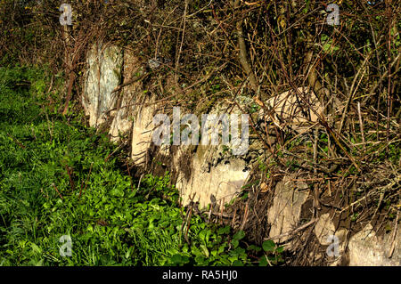 An old wall with massive stones exposed by opening a ditch Stock Photo