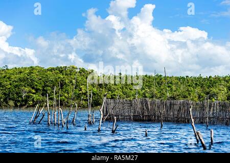 Fish traps in the Canal des Pangalanes, Ankanin Ny Nofy, Madagascar Stock Photo