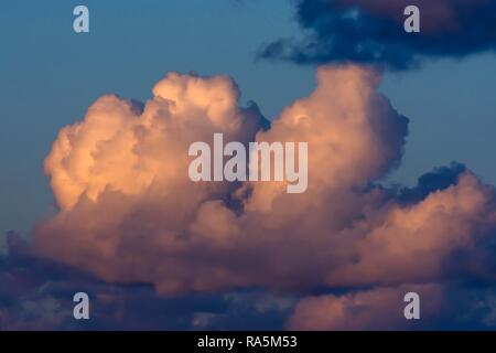 Cumulus clouds (Cumulus) in the evening light, Germany Stock Photo