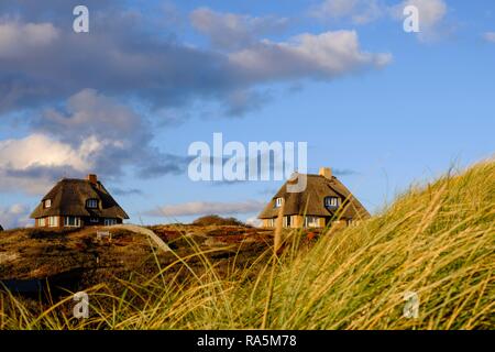Typical Frisian houses with thatched roofs in the dunes of Hörnum, Sylt, Nordfriesland, Schleswig-Holstein, Germany Stock Photo