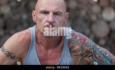 Portrait, man with bald head and tattoo, serious look, Germany Stock Photo