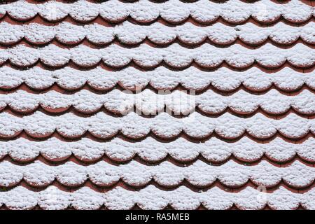 Snow-covered roof tiles, plain tile, Munich, Upper Bavaria, Bavaria, Germany Stock Photo