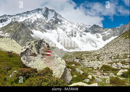 Way marking, hiking trail in the mountains, Rauhkofel (3251 m) or Rauchkofel at the back, Monte Fumo, near Kasern, Casere Stock Photo