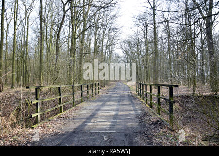 Wooden bridge in forest. 'Dolina Widawy' near Wroclaw city. Nature protection areas 'Natura 2000'. Dolnoslaskie, Poland. Stock Photo