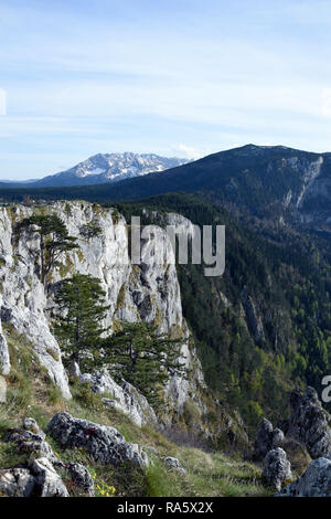 Tara Canyon landscape near Zabljak. Tara River, Durmitor, Montenegro. Stock Photo