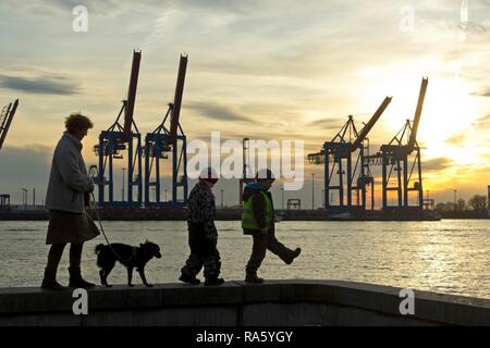 Woman with a dog and two children walking along a wall in front of gantry cranes, Container Terminal Burchardkai, Hamburg-Port Stock Photo