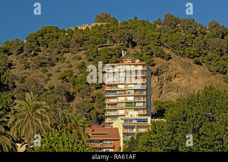 Apartment building on the foot of a hill with trees and Gibralfaro medieval moorish castle, Malaga, Spain Stock Photo