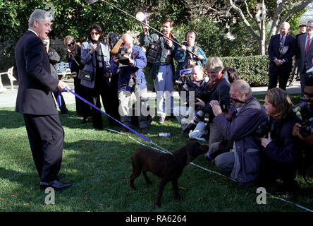 12/16/1997 - Photograph of President William Jefferson Clinton Introducing Buddy the Dog to the Press Stock Photo