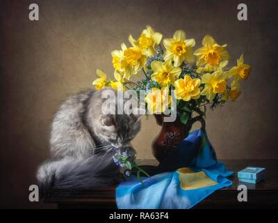 Still life with bouquet of yellow daffodils and pretty young kitty Stock Photo