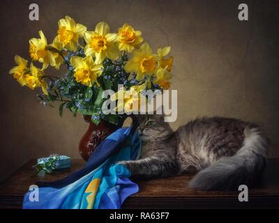 Still life with bouquet of yellow daffodils and pretty young kitty Stock Photo