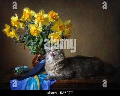 Still life with bouquet of yellow daffodils and pretty young kitty Stock Photo