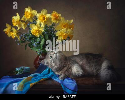 Still life with bouquet of yellow daffodils and pretty young kitty Stock Photo