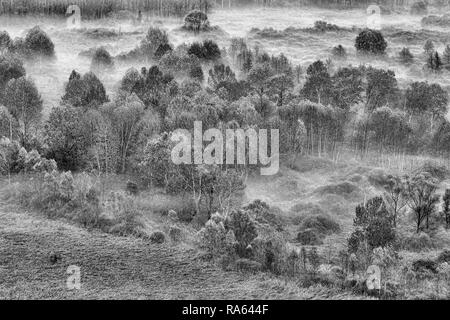 Foggy landscape, black and white photography, Italy Stock Photo