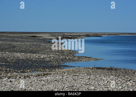 Panorama, Hintergrund, Segelschiff, Watt, Wattenmeer, Stock Photo