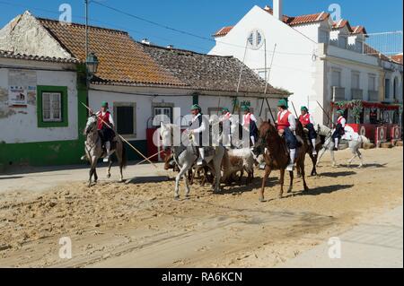 Parade of Horsemen and bulls in the streets during the Festas do Barrete Verde e das Salinas, Alcochete, Setubal Province Stock Photo