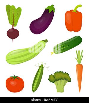 Set of fresh vegetables, bright and colorful, isolated on white. Beets, carrots, zucchini, eggplant, broccoli, sweet pepper tomato cucumber peas Vecto Stock Vector