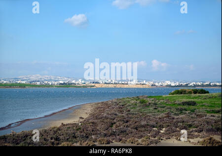 Landscape with group of many pink flamingos resting and feeding in Salt Lake in Larnaca Cyprus on December day view at far Stock Photo
