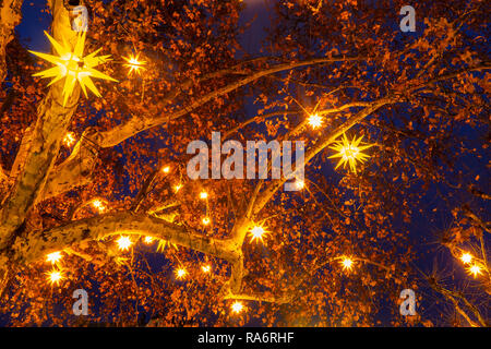 Star shaped christmas lights hanging in a tree at night. Christmas holiday background or backdrop. Strasbourg, France. Stock Photo