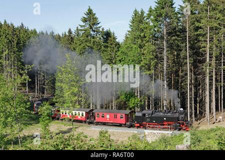 Brocken Railway, near Drei Annen Hohne, Harz, Lower Saxony, Germany Stock Photo
