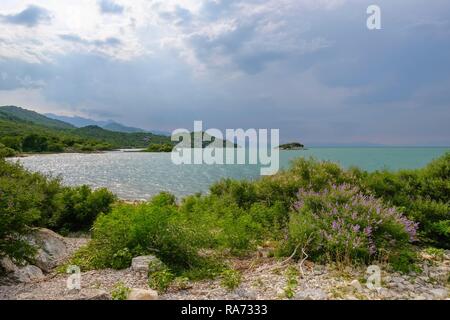 Skadar Lake National Park, Skadar Lake South Shore, Skadarsko Jezero, Skje near Bar, Montenegro Stock Photo