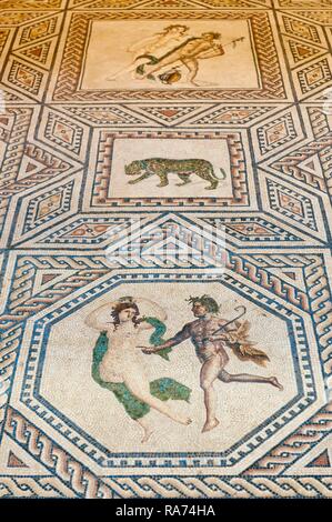 Roman Floor Mosaic, Dionysus Mosaic, Roman-Germanic Museum, Cologne, North Rhine-Westphalia, Germany Stock Photo