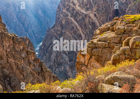 Colorful Autumn groundcover on the rim of the Black Canyon of the Gunnison, Colorado. Stock Photo