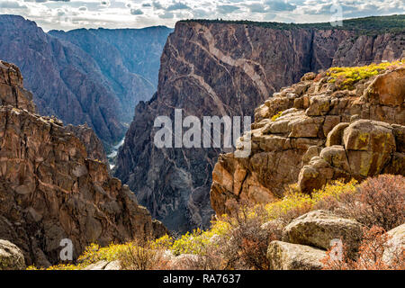 Colorful Autumn groundcover on the rim of the Black Canyon of the Gunnison National Park, Colorado. Stock Photo
