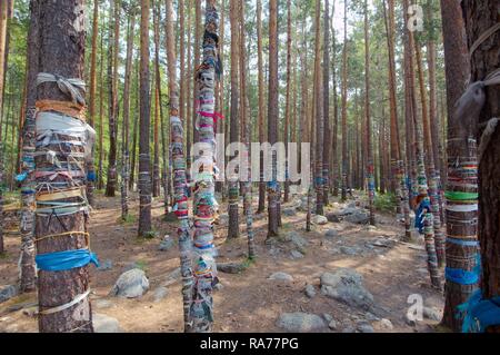 Sacred grove, Arshan, Tunkinsky District, Republic of Buryatia, Siberia, Russian Federation, Eurasia Stock Photo