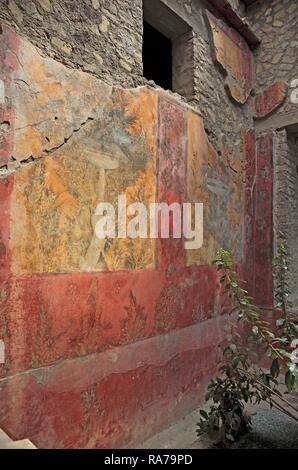 Villa of Poppea, remains of frescoes, historical town of Oplontis, now Torre Annunziata, Campania, Italy, Europe Stock Photo