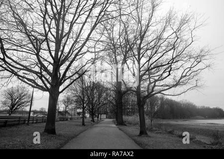 Grosser Dutzendteich, the largest recreational area in Nuremberg, Nuremberg, Bavaria, Germany. Stock Photo